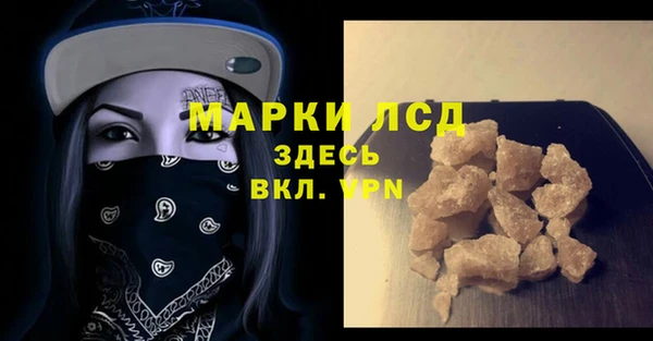 индика Богданович