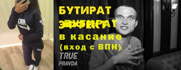 индика Богданович