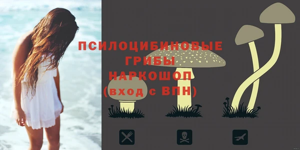 экстази Богородицк