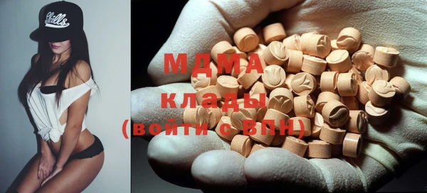 индика Богданович