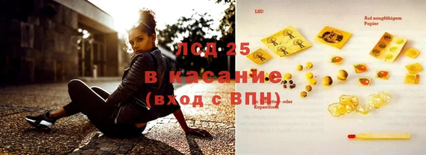 индика Богданович